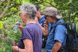 Cykeltur til krydderigården: Træd i pedalerne gennem aromatiske eventyr