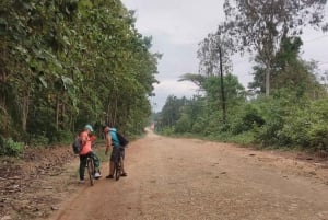 Spice Farm Bike Tour: Pedal Through Aromatic Adventures