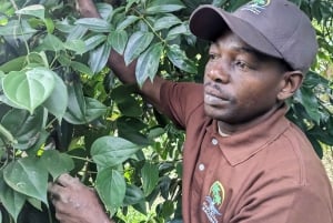 Cykeltur til krydderigården: Træd i pedalerne gennem aromatiske eventyr