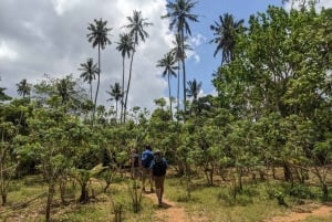 Spice Farm Bike Tour: Pedal Through Aromatic Adventures