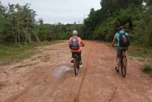 Spice Farm Bike Tour: Pedal Through Aromatic Adventures