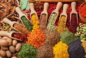 ZANZÍBAR: granja de especias, bosque de Jozani y playa de Mtende