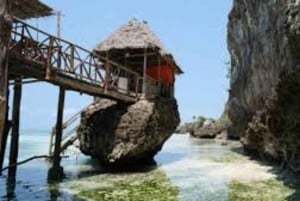 ZANZÍBAR: granja de especias, bosque de Jozani y playa de Mtende