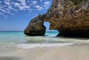 ZANZÍBAR: granja de especias, bosque de Jozani y playa de Mtende