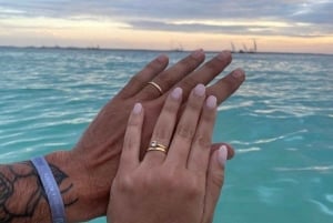 Fattoria delle spezie, foresta di Jozani, spiaggia di Paje e visita a The Rock con pranzo