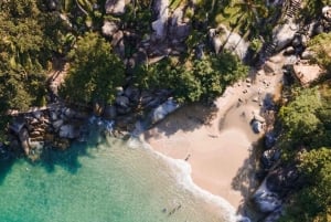 Fattoria delle spezie, foresta di Jozani, spiaggia di Paje e visita a The Rock con pranzo