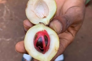 Ферма специй, остров-тюрьма, экскурсия по Стоунтауну + посещение рынка рабов