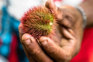 Spice Farm - apimente sua vida em Zanzibar