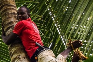 Spice Farm - geef je leven in Zanzibar meer pit