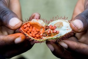 Spice Farm - pimentez votre vie à Zanzibar