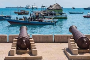 Spice Farm, Stone Town, Prison Island & Nakupenda sand bank