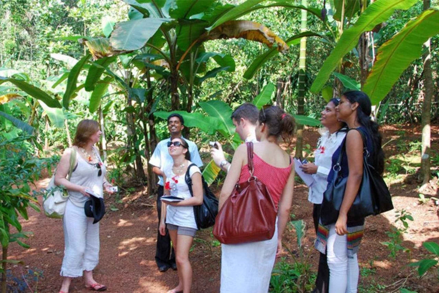Tour della piantagione di spezie con pranzo tradizionale di Zanzibar