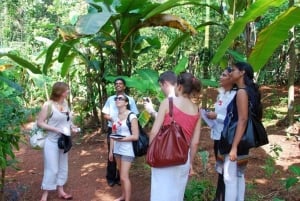Tour della piantagione di spezie con pranzo tradizionale di Zanzibar