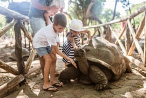Zanzibar : ferme aux épices, île-prison et marché nocturne de Stone Town
