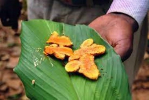 Sansibar: Maustekierros & Stone Town -kävelykierros