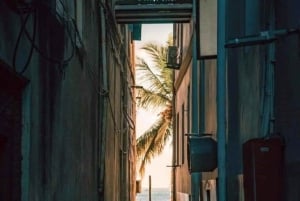 Zanzibar: tour delle spezie + tour a piedi di Stone Town