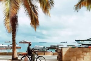 Zanzibar: tour delle spezie + tour a piedi di Stone Town