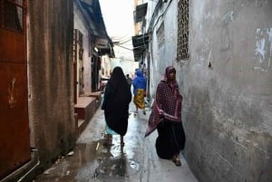 Zanzibar: tour delle spezie + tour a piedi di Stone Town