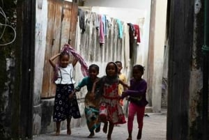Zanzibar: tour delle spezie + tour a piedi di Stone Town