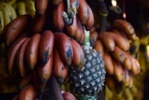 Zanzibar: tour delle spezie + tour a piedi di Stone Town