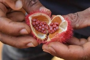 Zanzibar: tour delle spezie + tour a piedi di Stone Town