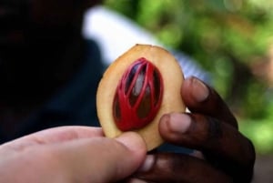 Zanzibar: tour delle spezie + tour a piedi di Stone Town