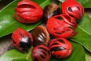 Sansibar: maustekierros