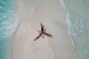 Meritähti-seikkailu, Lounas The Rockissa, Mnemban delfiinikierros