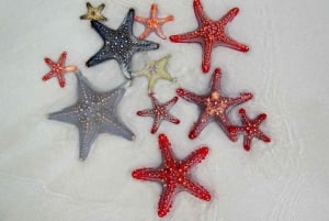 Äventyr med sjöstjärnor, lunch på The Rock, snorkling på Mnemba