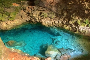 ヒトデツアー、ブルーラグーンシュノーケリング、ザ・ロック、パジェビーチ