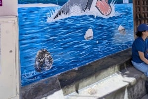 Secretos de la Ciudad de Piedra: paseo y degustación de frutas exóticas