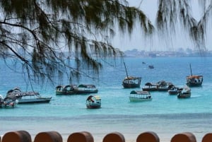 Guidet tur i Stone Town: Kultur, arv og slavemarked