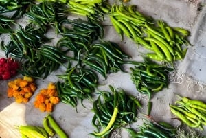 Stone Town: wandeltour met gids