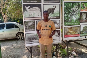 ZANZIBAR:Stone town,prison Island and jozani forest