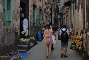 ZANZIBAR:Stone town,prison Island and jozani forest