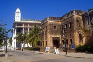 ZANZIBAR:Stone town,prison Island and jozani forest