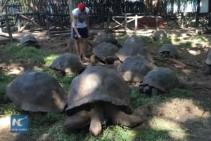 ZANZIBAR:Stone town,prison Island and jozani forest