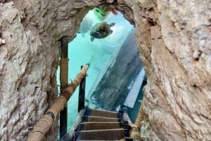 Stone Town, Prison Island, tartarughe marine e il ristorante The Rock