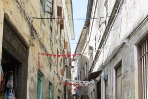 Stone Town: privétour met gids, halve dag