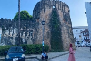 Stone Town: privétour met gids, halve dag