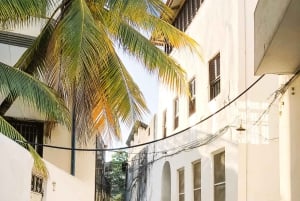 Stone Town: privétour met gids, halve dag