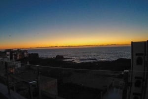 Stone Town: Private Walking Tour and Rooftop Dinner