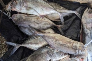 ストーンタウン：ガイド付きショッピング＆ヘリテージツアー