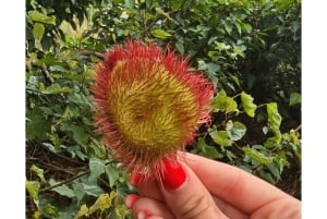 Sansibar: Stone Town & Gewürzplantagen-Tour mit lokalem Mittagessen