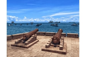 Sansibar: Stone Town & Gewürzplantagen-Tour mit lokalem Mittagessen