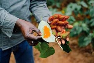 Nakupenda-sandbanken og fengselsøya med lokal guide