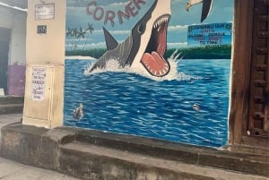 Passeggiata al mercato delle spezie e alla storia degli schiavi a Stone Town