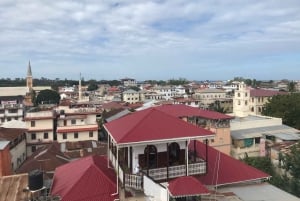 Stone Town: Stone Town and Prison Island Private Day Trip