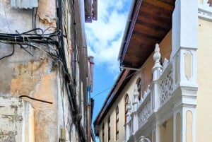 Stone Town, The Rock Restaurant, bosque de Jozani y cueva de Salam