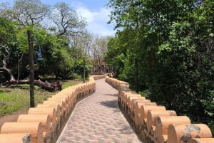 Stone town tour, Prison island and Nakupenda Sandbank